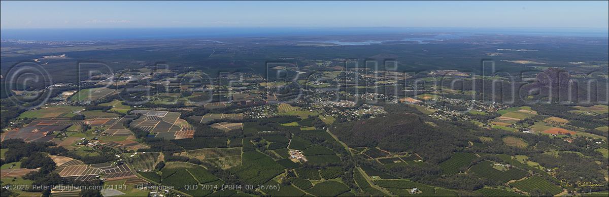 Peter Bellingham Photography Glasshouse - QLD 2014 (PBH4 00 16766)